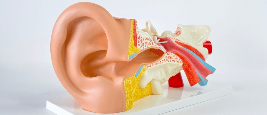 Enhance Your Communication: Addressing Hearing Loss with Aanvii Hearing | Aanvii Hearing